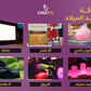 مجموعة حفلات أعياد الميلاد