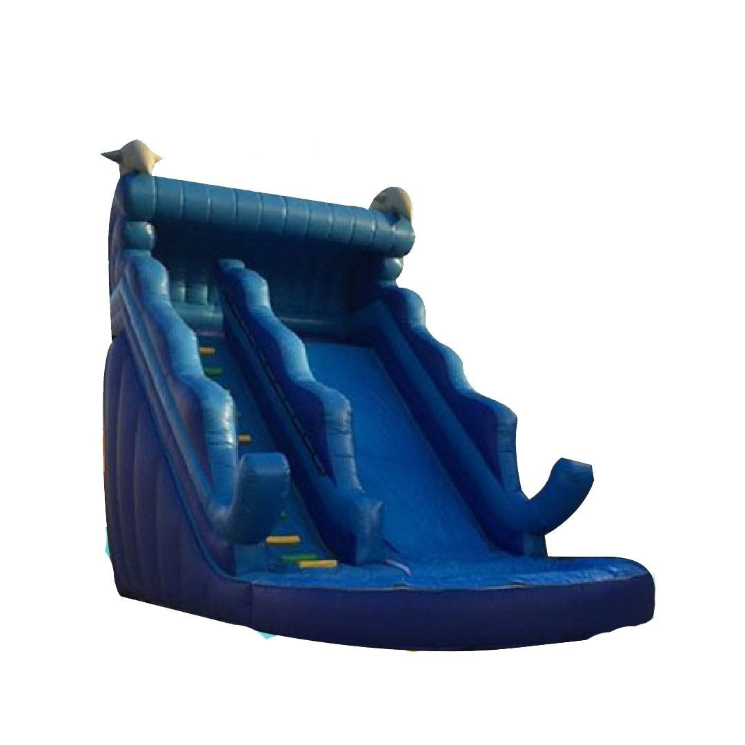 شريحة الدلافين
